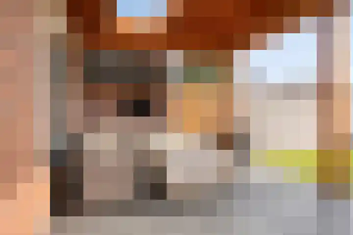 Helfrichstraat 3 Venray thumbnail 29