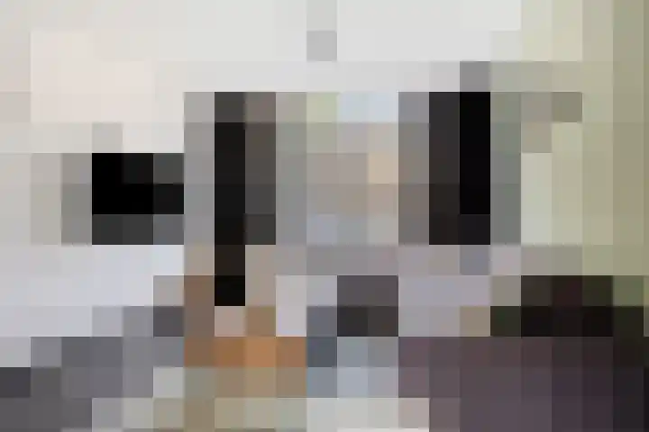 Helfrichstraat 3 Venray thumbnail 7