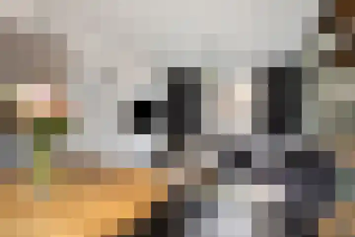 Helfrichstraat 3 Venray thumbnail 8