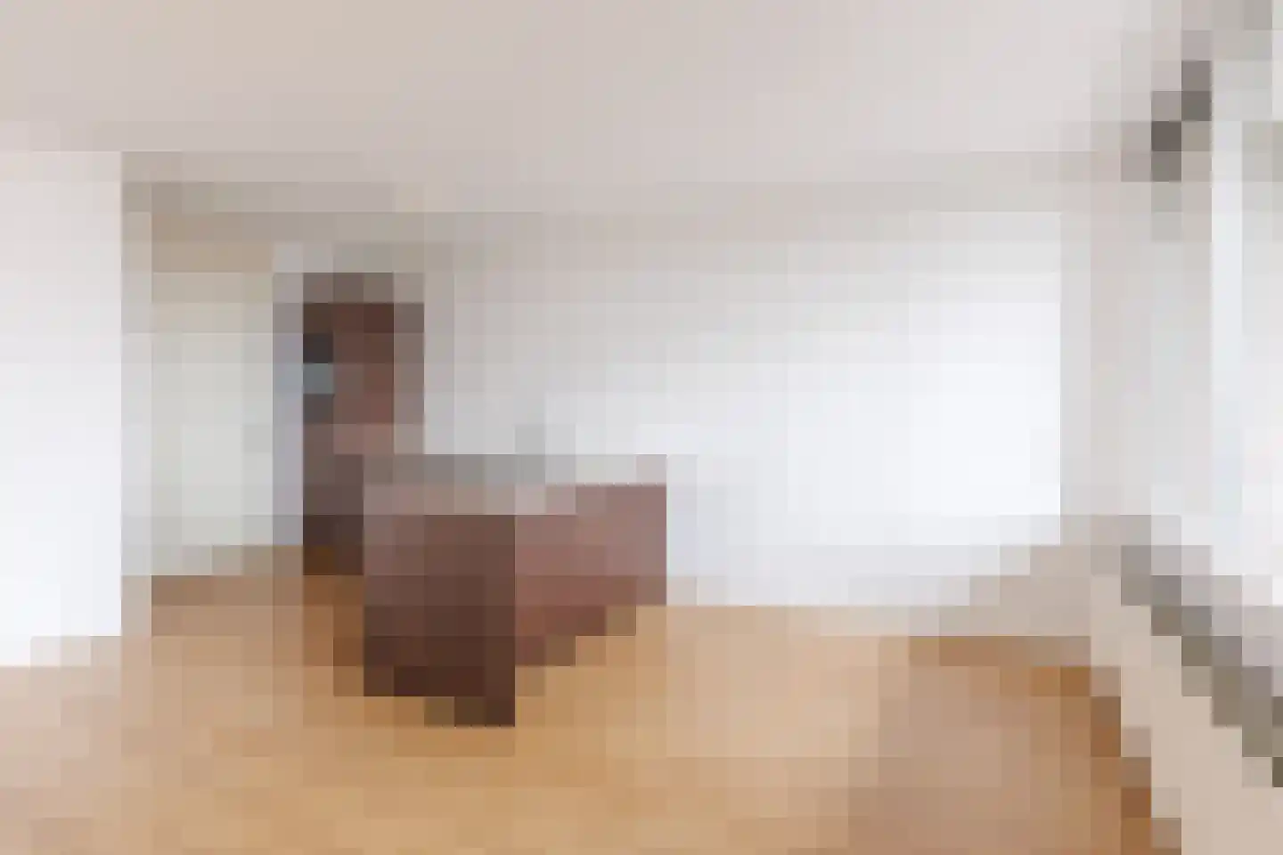 Helfrichstraat 31 Apeldoorn thumbnail 8