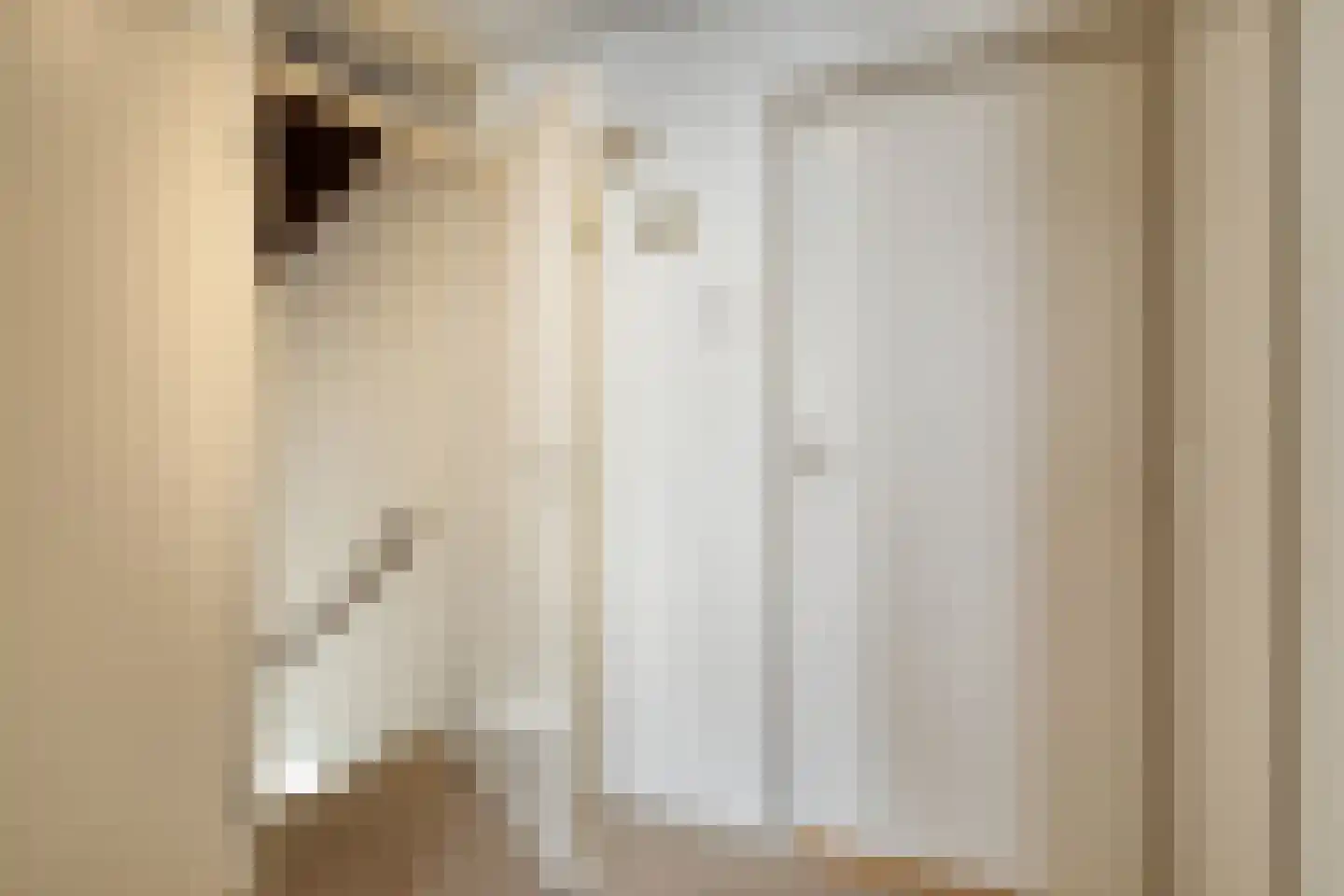 Helfrichstraat 31 Dongen thumbnail 15