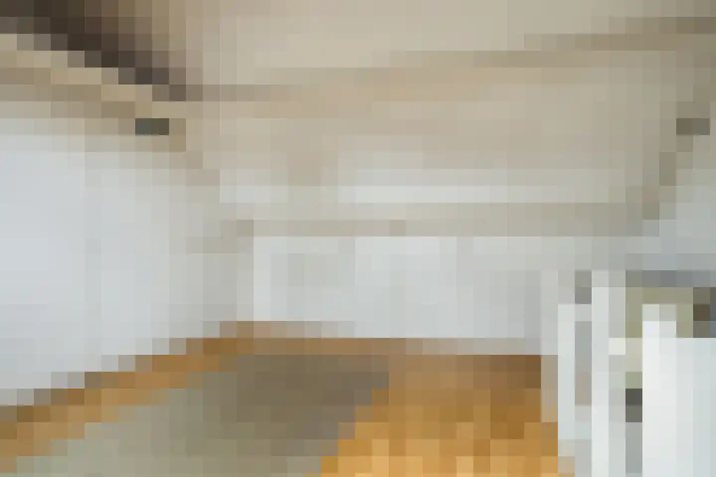 Helfrichstraat 31 Dongen thumbnail 22