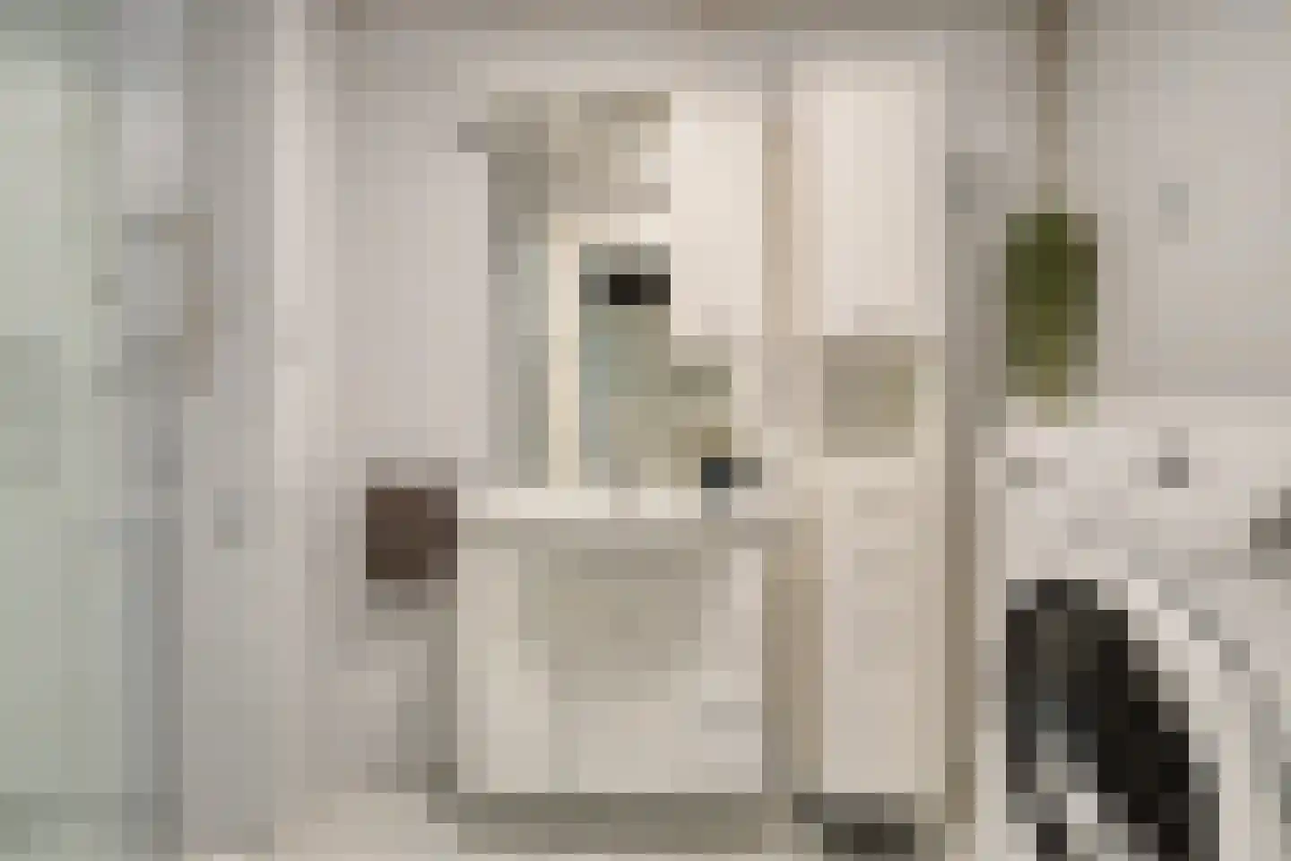 Helfrichstraat 31 Dongen thumbnail 5