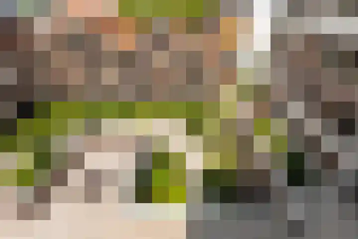 Helfrichstraat 37 Apeldoorn thumbnail 16