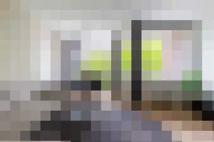 Helfrichstraat 37 Apeldoorn thumbnail 4