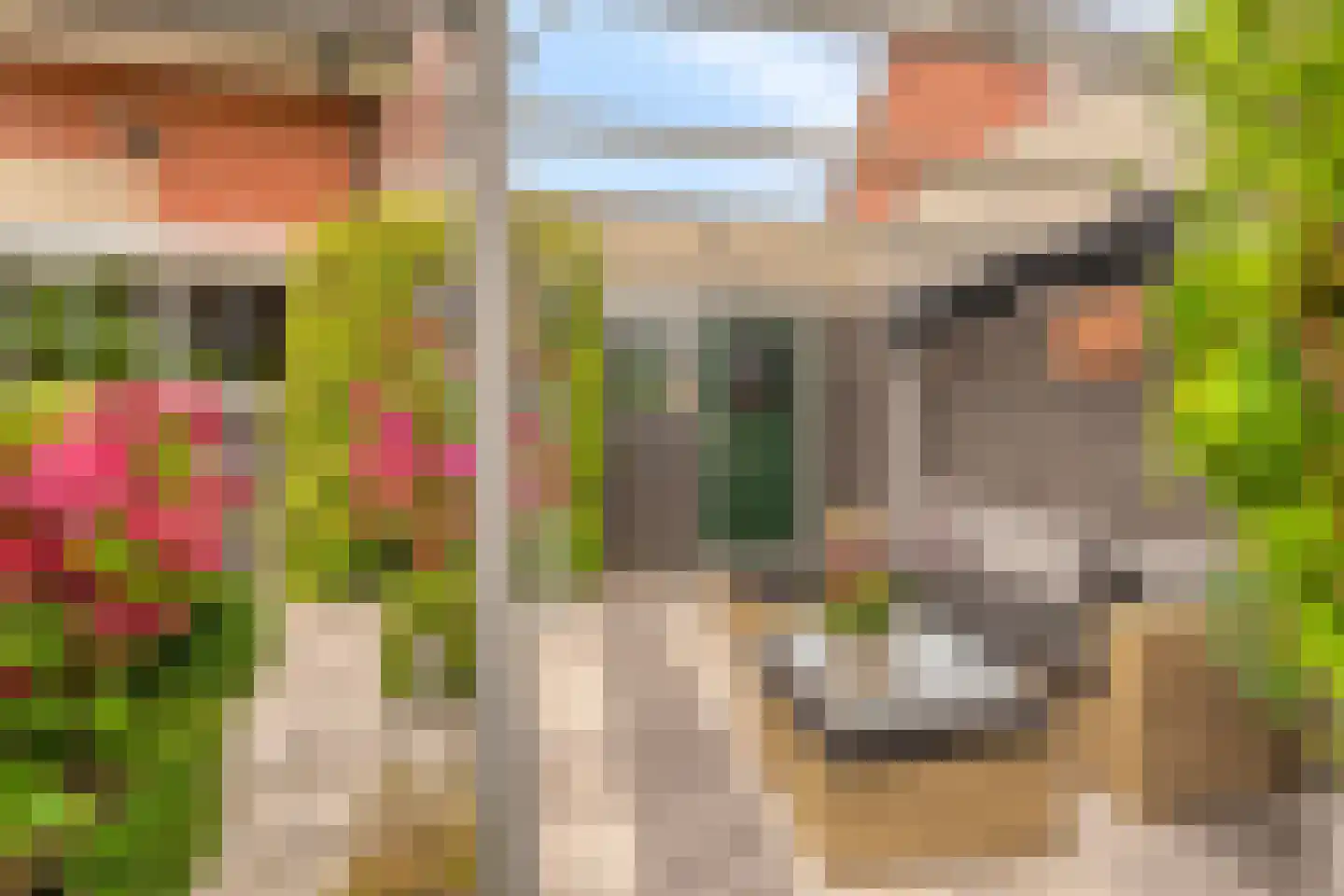 Helfrichstraat 5 Barendrecht thumbnail 41