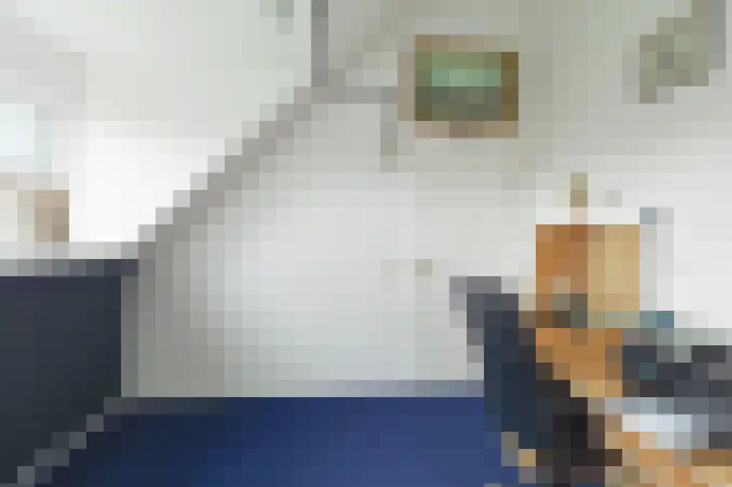 Helfrichstraat 7 Barendrecht thumbnail 33