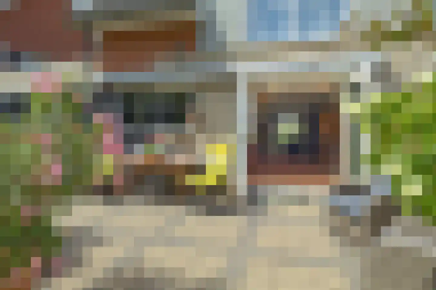 Helfrichstraat 7 Barendrecht thumbnail 37