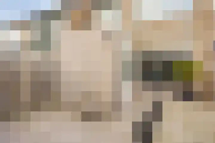 Helfrichstraat 7 Dongen thumbnail 26