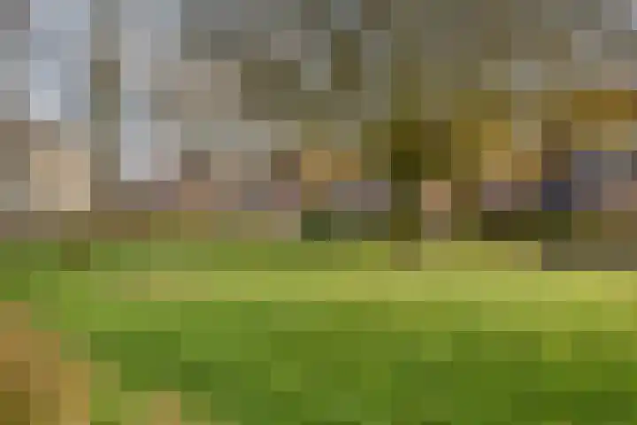 Helfrichstraat 7 Dongen thumbnail 32