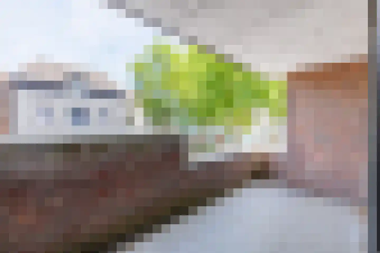 Helfrichstraat 9 Apeldoorn thumbnail 15