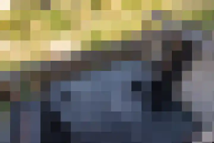 Helga Ruebsamenhof 7 Den Haag thumbnail 18