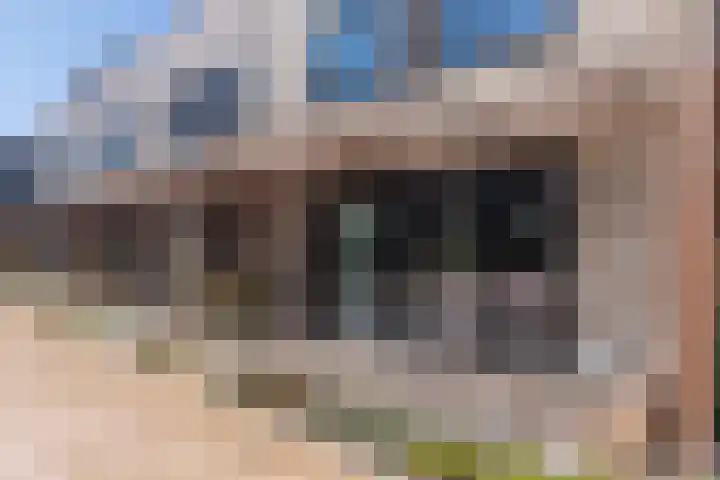 Helga Ruebsamenhof 7 Den Haag thumbnail 6
