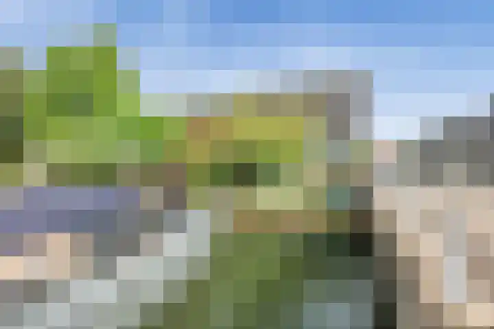 Helgoland 22 Zaandam thumbnail 37
