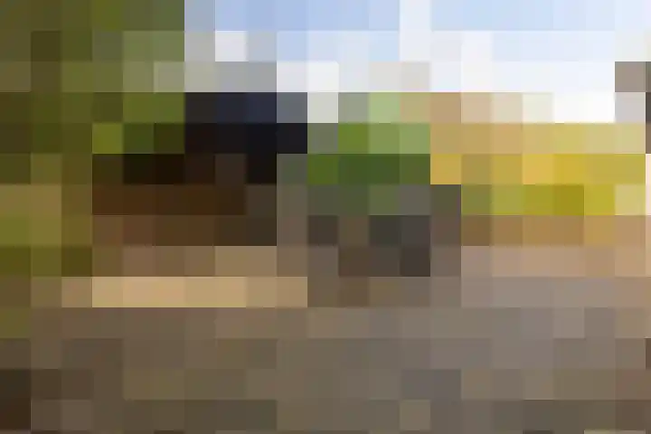 Helhuizerweg 28 Holten thumbnail 27