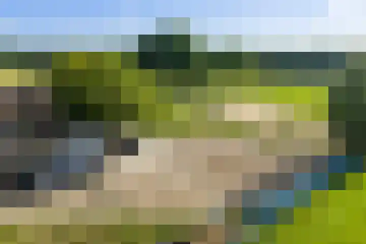 Helhuizerweg 28 Holten thumbnail 28