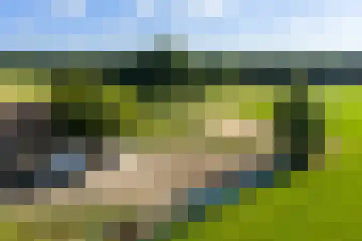 Helhuizerweg 28 Holten thumbnail 29