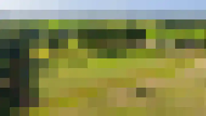 Helhuizerweg 28 Holten thumbnail 31