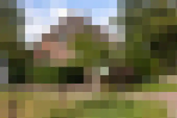 Helhuizerweg 28 Holten thumbnail 34