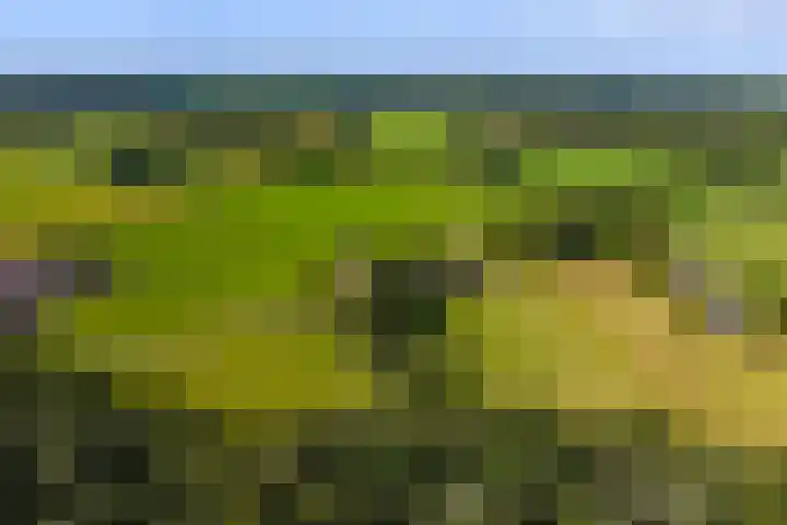 Helhuizerweg 28 Holten thumbnail 36