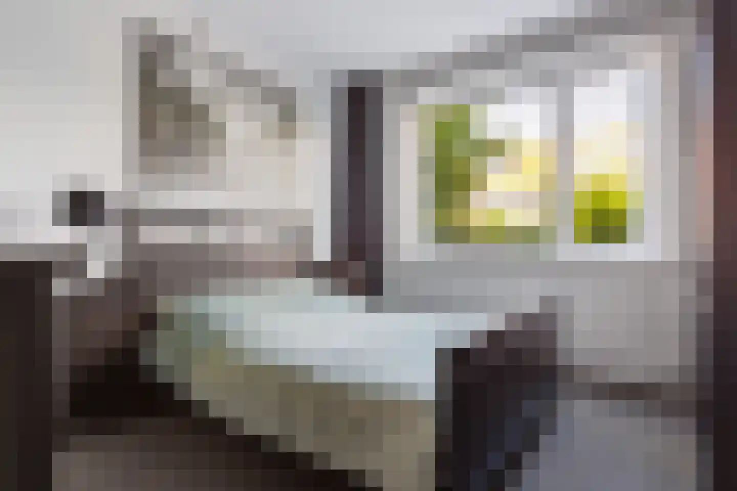 Heliconweg 22 Leeuwarden thumbnail 19