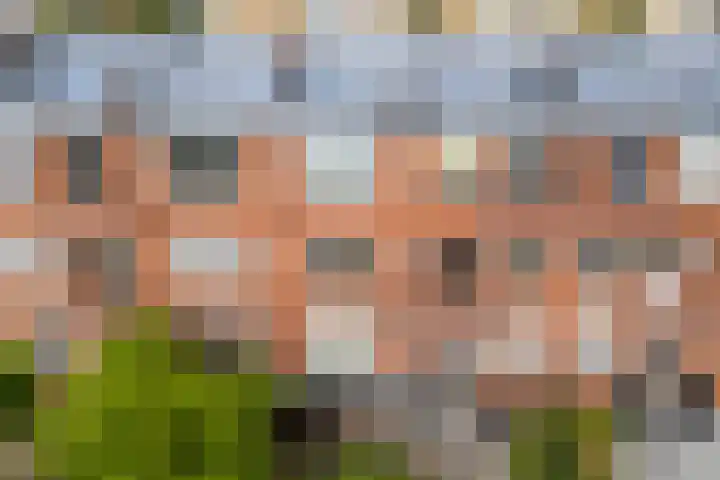 Heliconweg 23 b Leeuwarden thumbnail 32