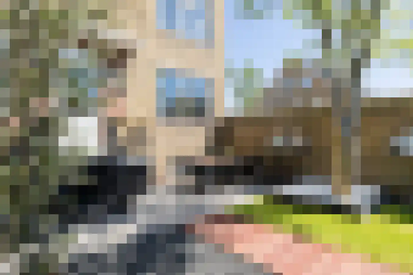 Heliconweg 26 Leeuwarden thumbnail 31