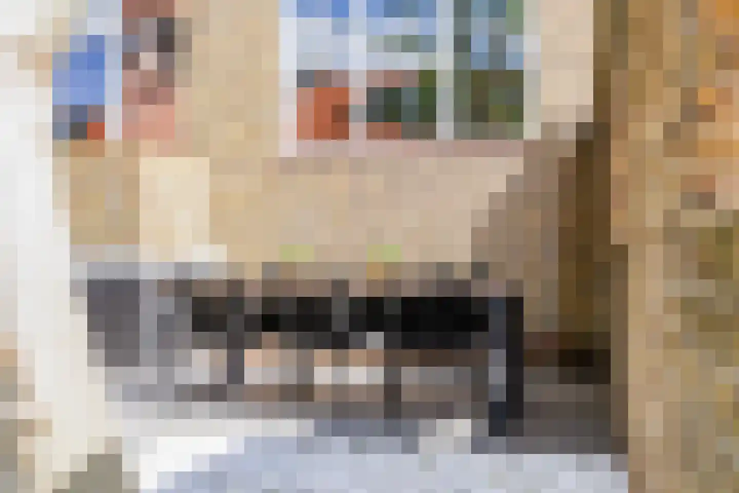 Heliconweg 26 Leeuwarden thumbnail 33