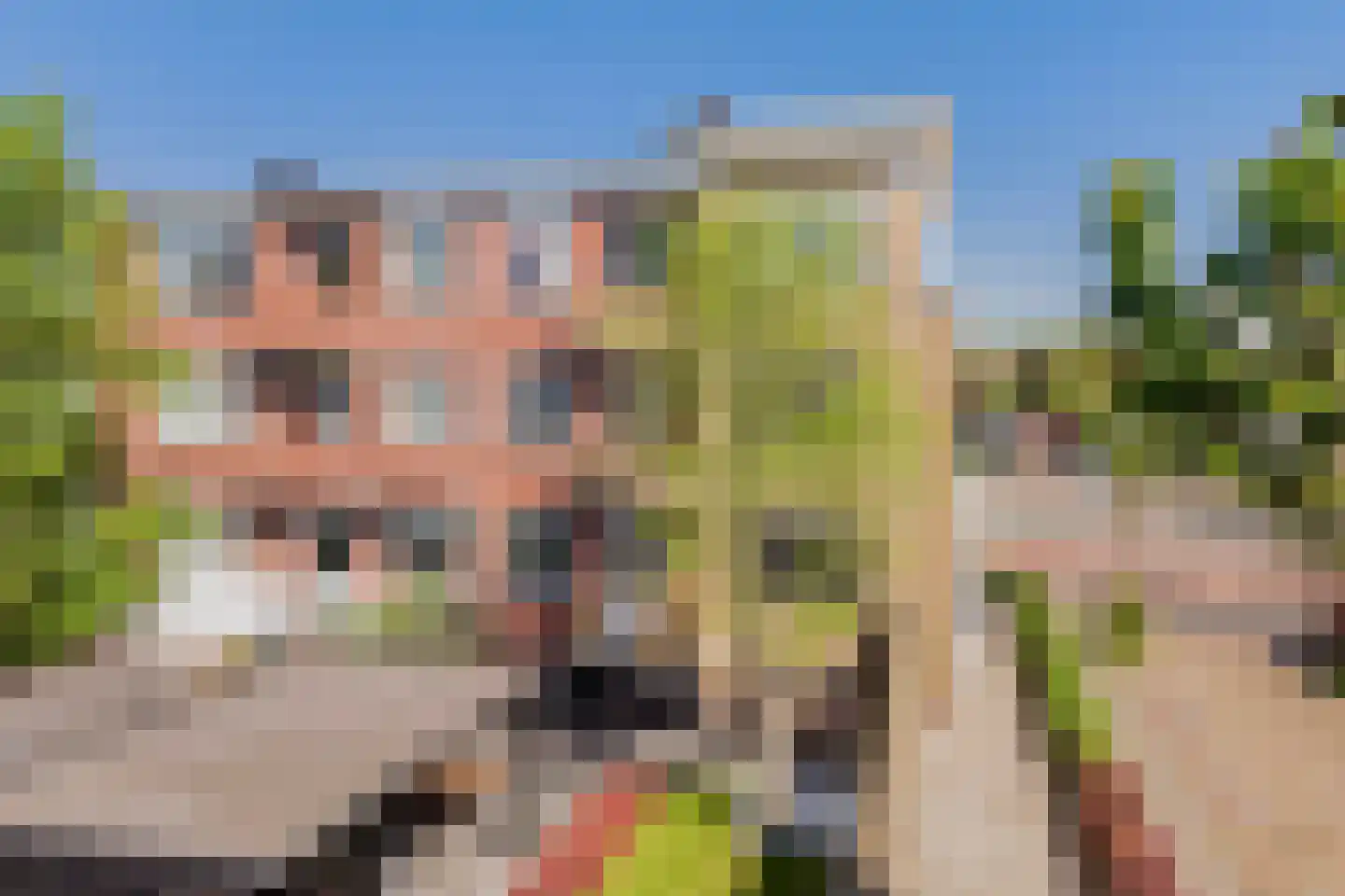 Heliconweg 26 Leeuwarden thumbnail 50
