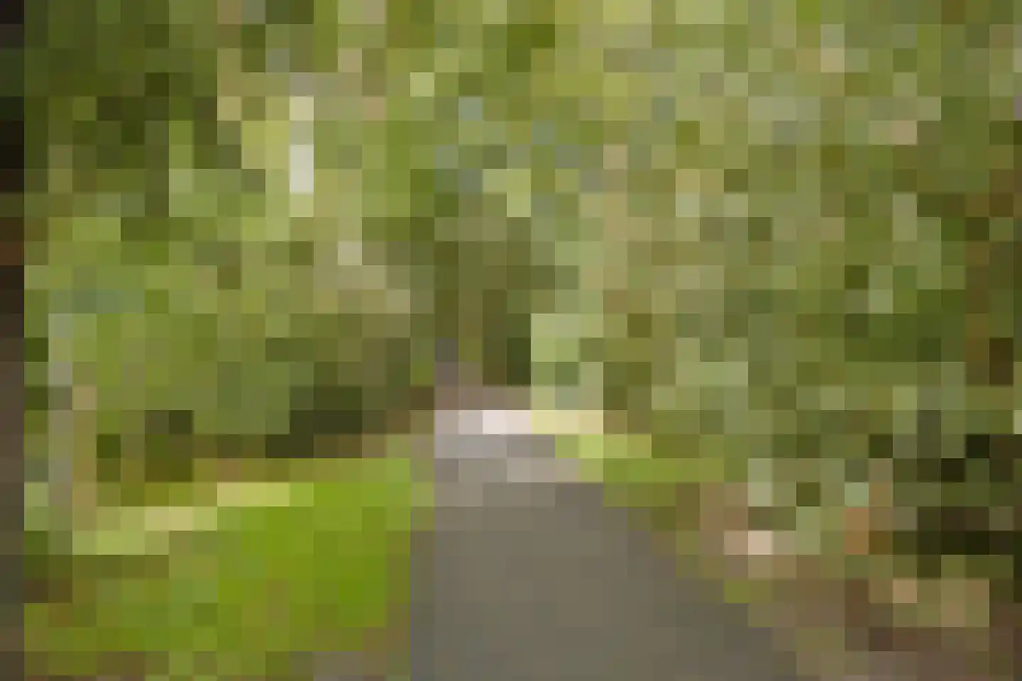 Helikon 1 Amstelveen thumbnail 36