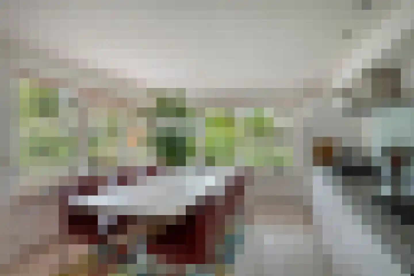 Heliodoorstraat 6 Nijmegen thumbnail 11