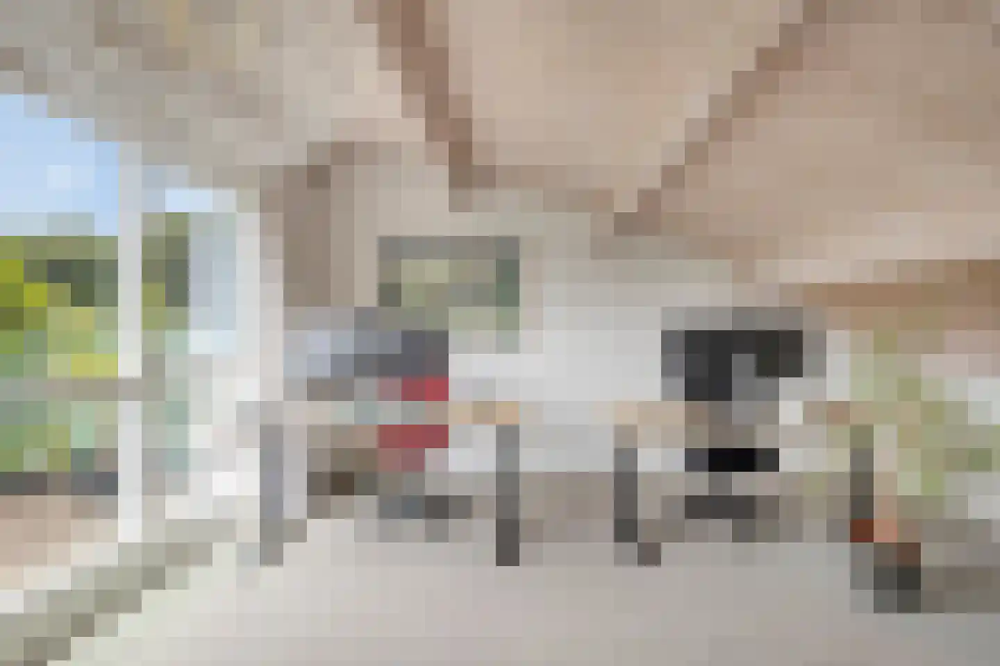 Heliodoorstraat 6 Nijmegen thumbnail 26