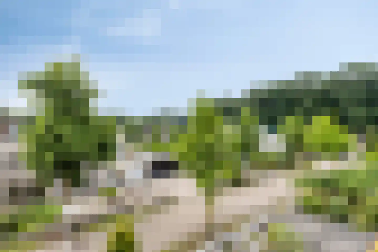 Heliodoorstraat 6 Nijmegen thumbnail 33