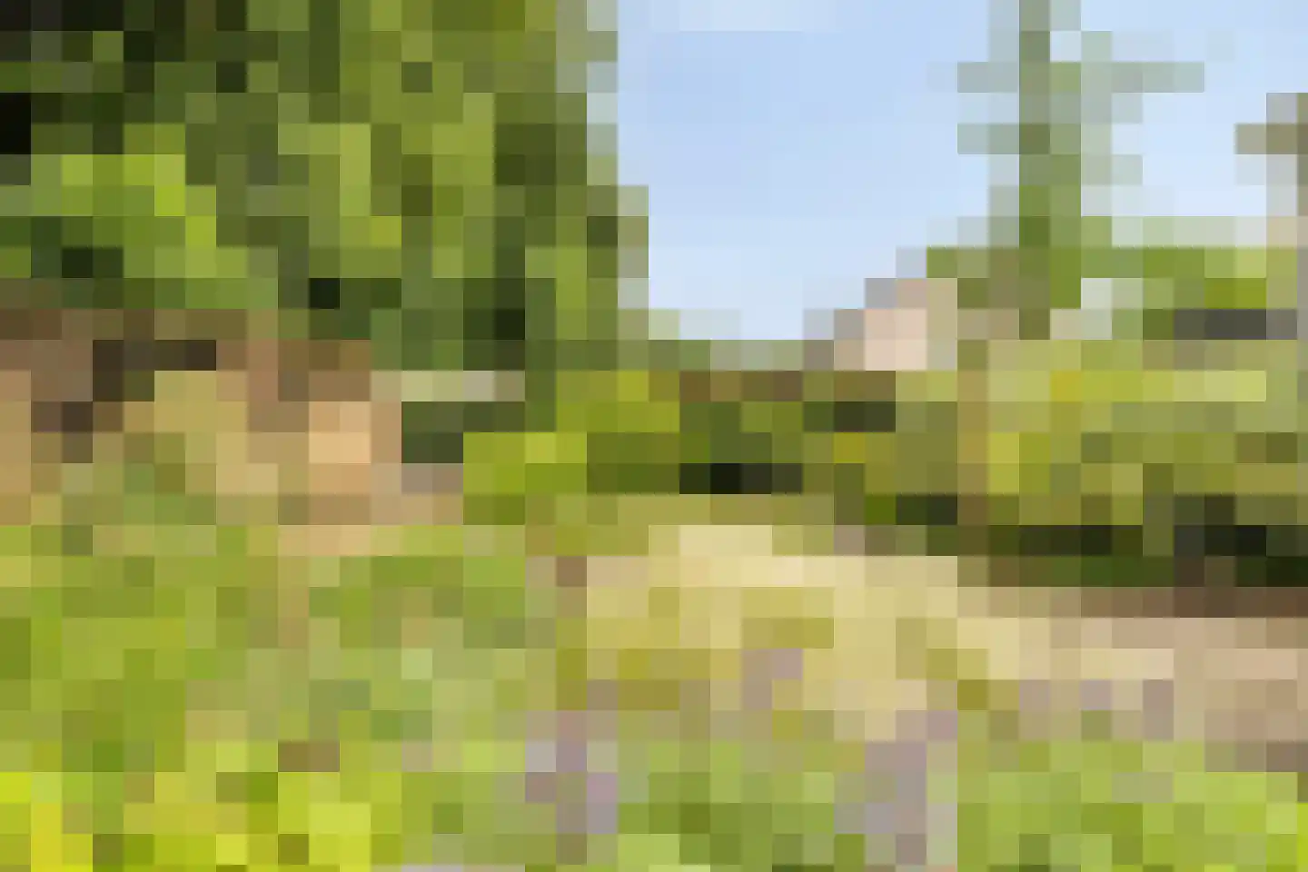 Heliodoorstraat 6 Nijmegen thumbnail 37