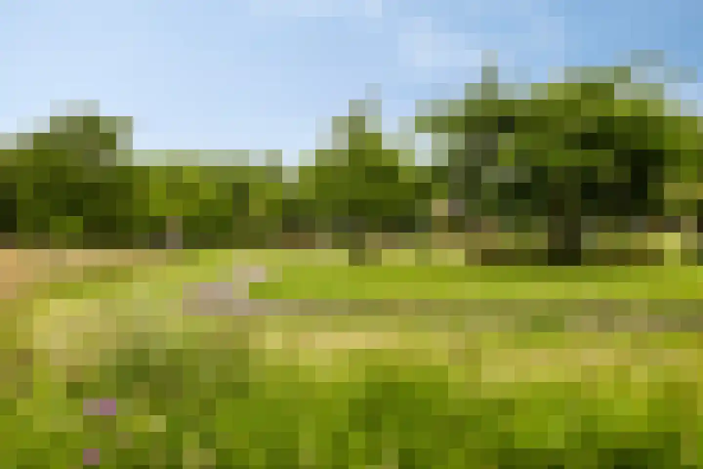Heliodoorstraat 6 Nijmegen thumbnail 43