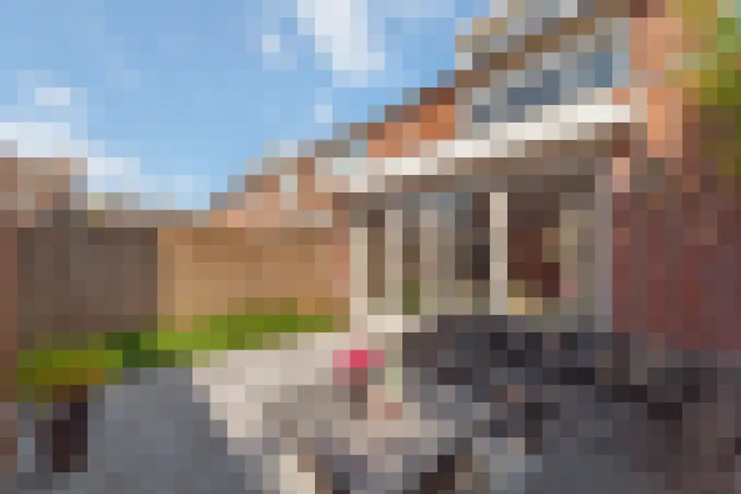 Heliotroop 16 's-Gravenzande thumbnail 31