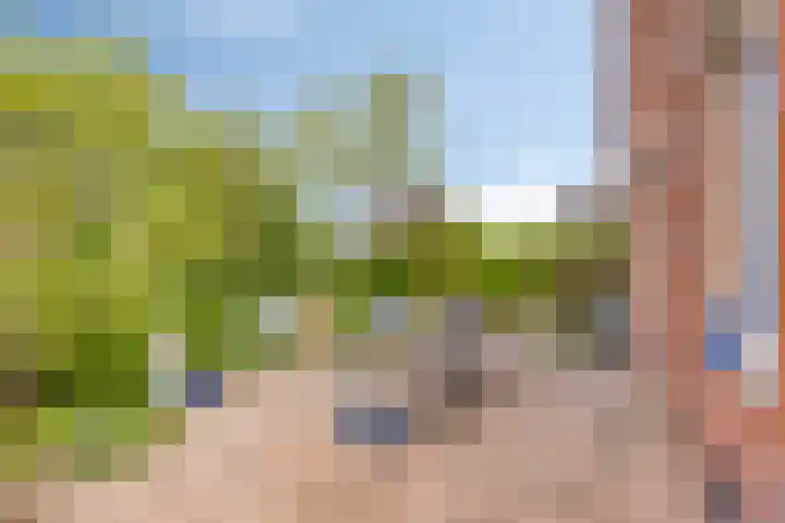 Heliotroop 23 Rhoon thumbnail 14
