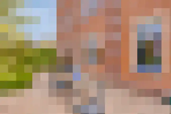 Heliotroop 23 Rhoon thumbnail 15