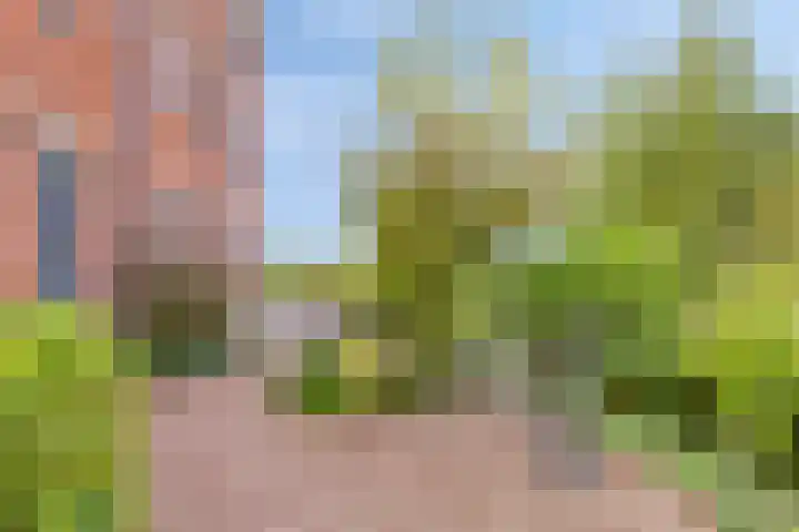 Heliotroop 23 Rhoon thumbnail 17