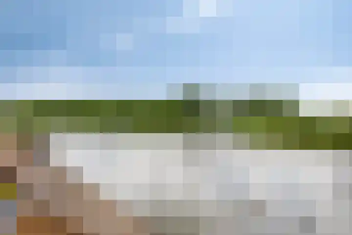 Heliotroop 23 Rhoon thumbnail 19