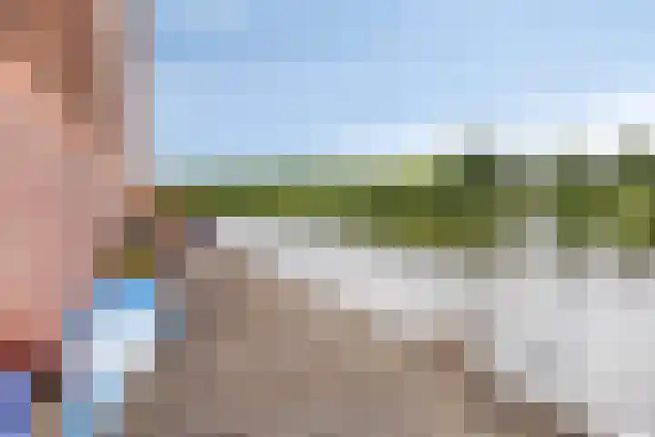 Heliotroop 23 Rhoon thumbnail 20
