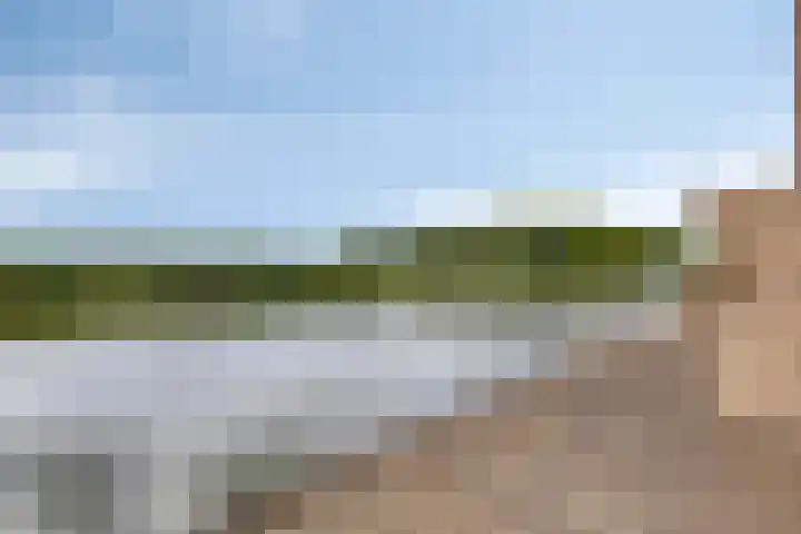 Heliotroop 23 Rhoon thumbnail 21