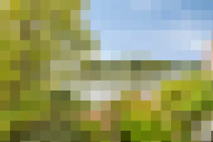 Heliotroop 23 Rhoon thumbnail 22