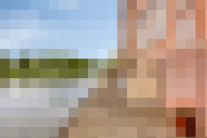 Heliotroop 23 Rhoon thumbnail 4