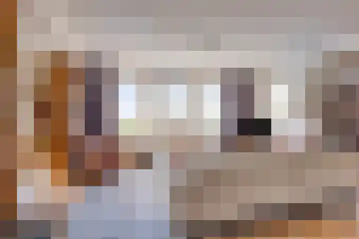 Heliotroop 23 Rhoon thumbnail 7