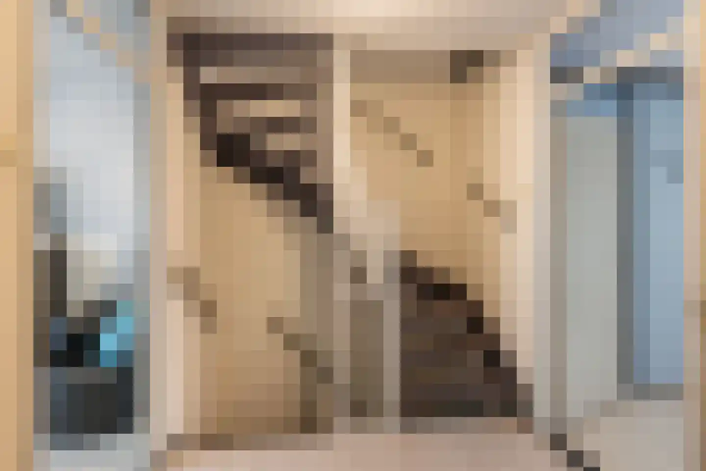 Heliotroop 35 's-Gravenzande thumbnail 18