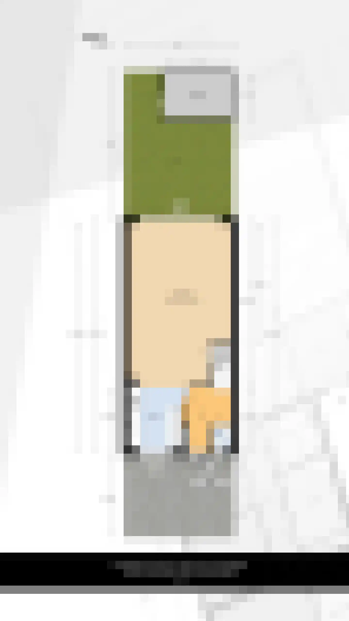 Heliotroop 35 's-Gravenzande thumbnail 34