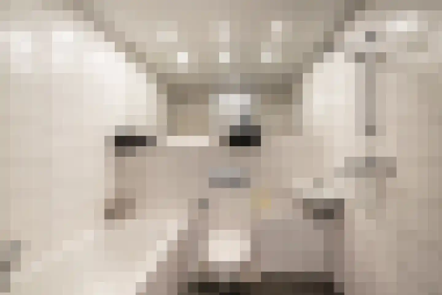 Heliotroop 35 's-Gravenzande thumbnail 5
