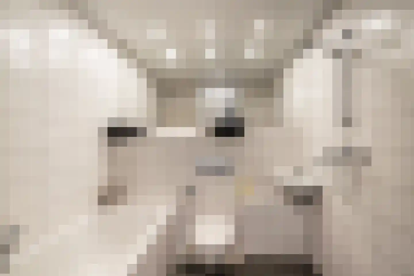 Heliotroop 35 's-Gravenzande thumbnail 5