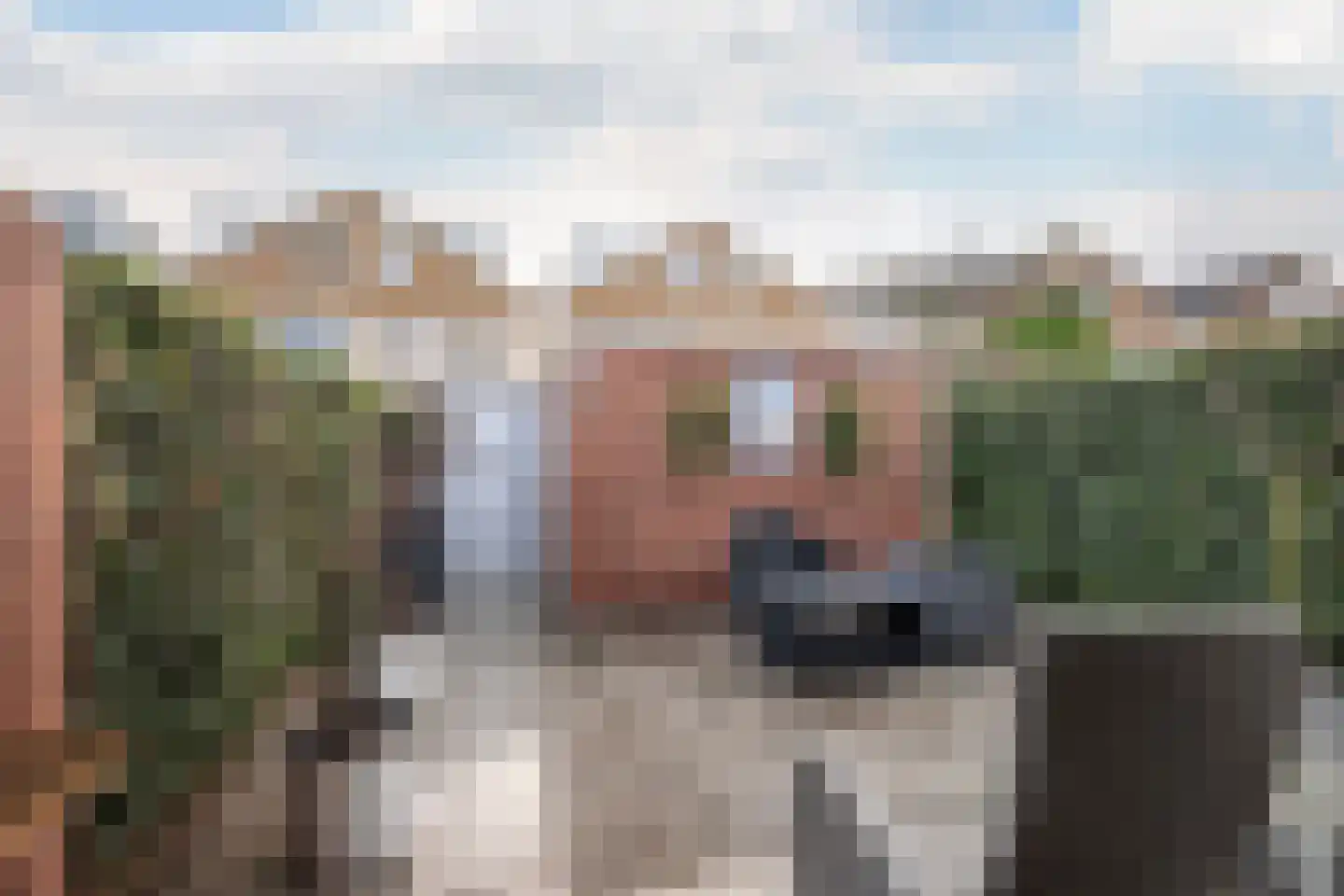 Heliotroop 35 's-Gravenzande thumbnail 6